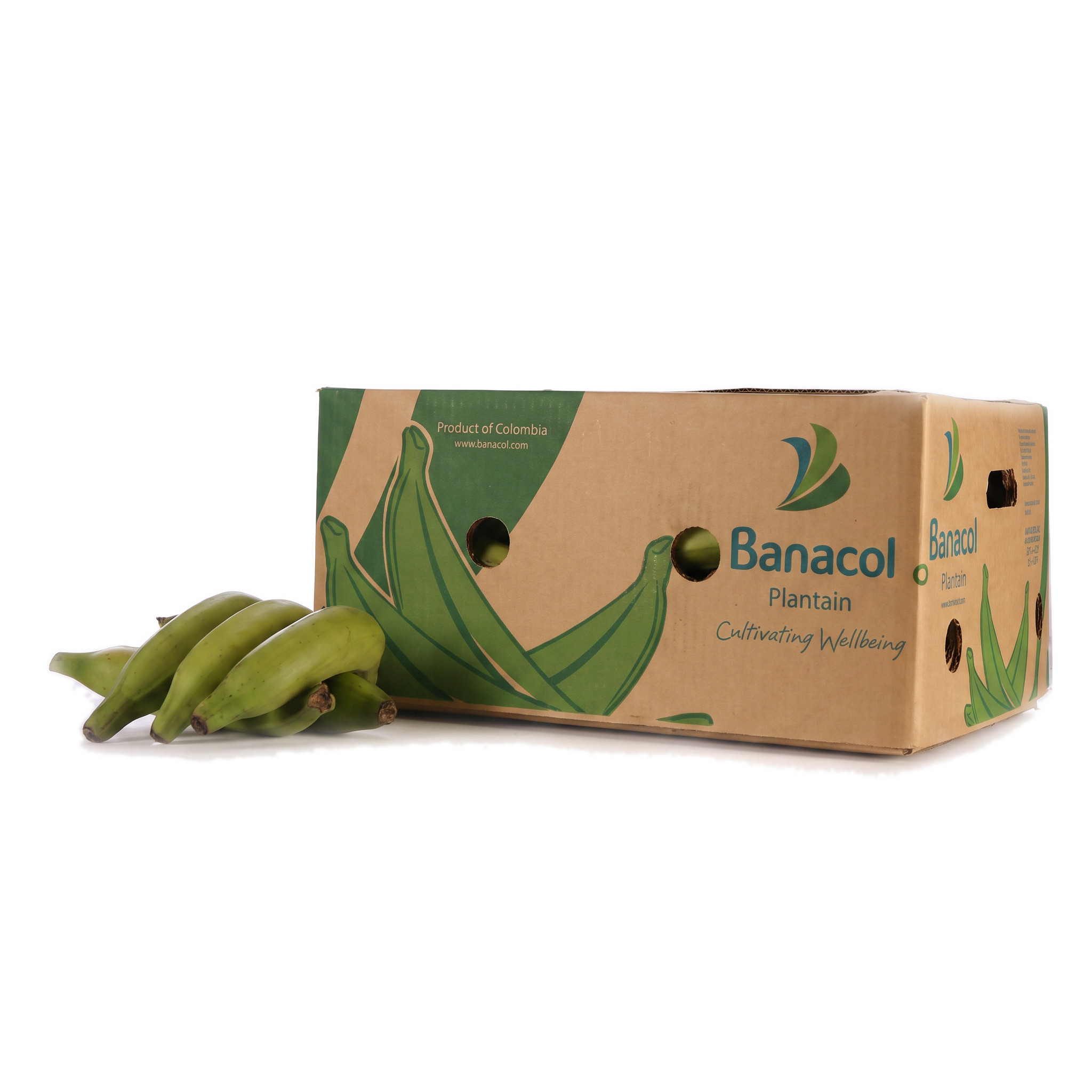 Fresh Plantain PP2