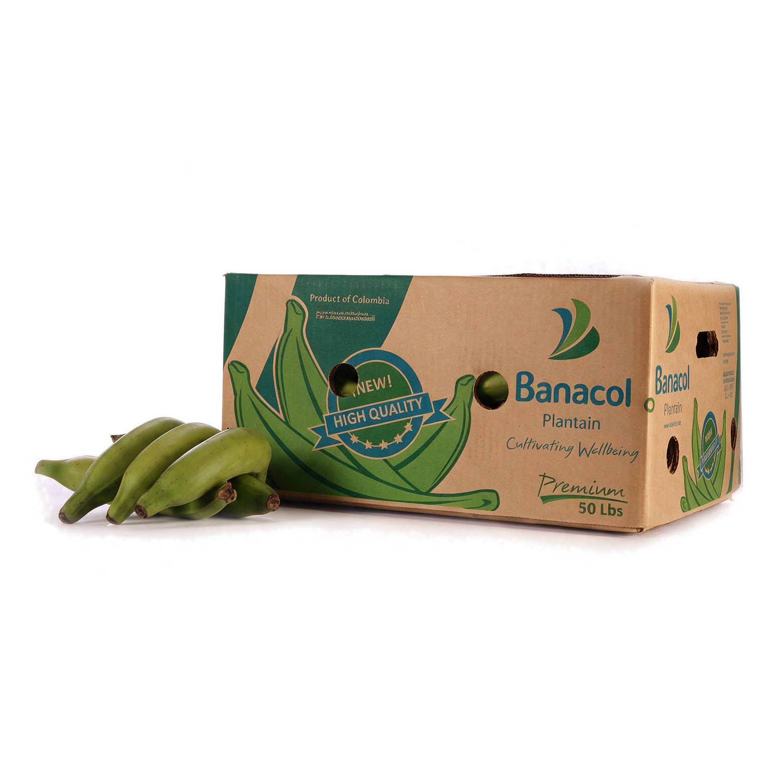 Fresh Plantain PP1